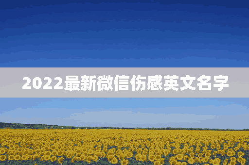 2022最新微信伤感英文名字(微信伤感英文名字微信昵称)